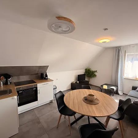 Apartment Dg Mit Neckarblick Nuertingen